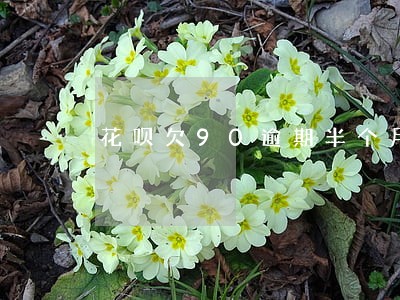 花呗欠90逾期半个月 花呗欠90逾期半个月