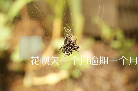 花呗欠一个月逾期一个月怎么办 花呗欠一个月逾期一个月怎么办