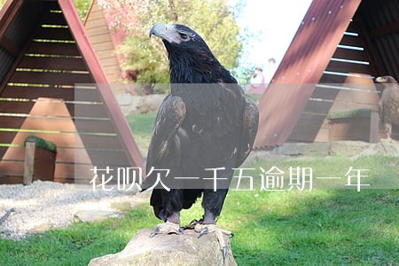 花呗欠一千五逾期一年 花呗欠一千五逾期一年