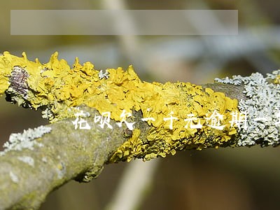 花呗欠一千元逾期一年利息多少 花呗欠一千元逾期一年利息多少