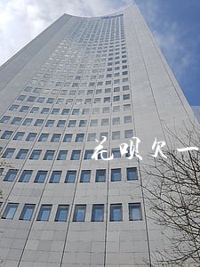 花呗欠一千多逾期半年 花呗欠一千多逾期半年