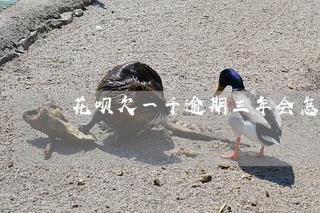花呗欠一千逾期三年会怎么样 花呗欠一千逾期三年会怎么样