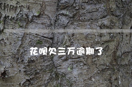 花呗欠三万逾期了 花呗欠三万逾期了