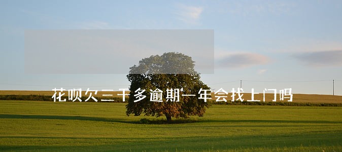 花呗欠三千多逾期一年会找上门吗 花呗欠三千多逾期一年会找上门吗