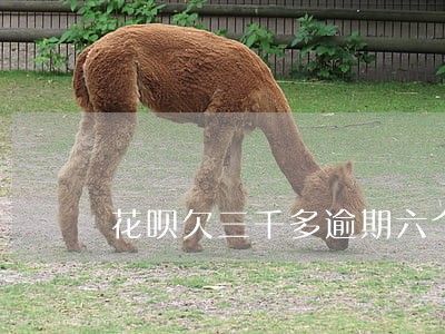 花呗欠三千多逾期六个月会上门吗 花呗欠三千多逾期六个月会上门吗