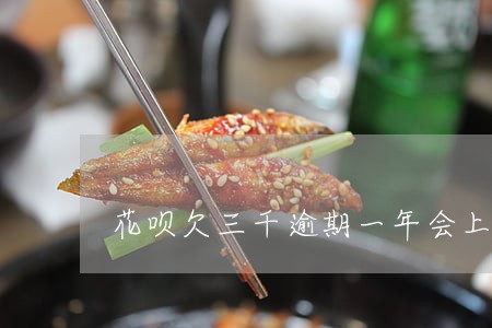 花呗欠三千逾期一年会上门吗 花呗欠三千逾期一年会上门吗