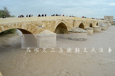 花呗欠三百逾期五天没事吧 花呗欠三百逾期五天没事吧