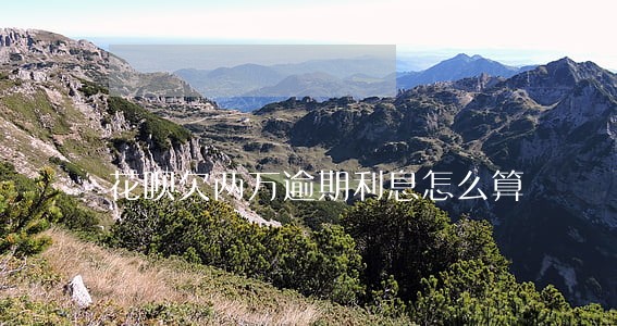 花呗欠两万逾期利息怎么算 花呗欠两万逾期利息怎么算