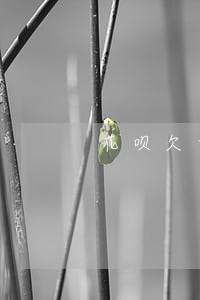 花呗欠两千五逾期一年 花呗欠两千五逾期一年