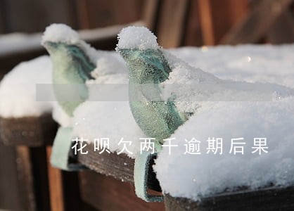 花呗欠两千逾期后果 花呗欠两千逾期后果