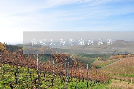 花呗欠两年逾期后果 花呗欠两年逾期后果
