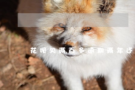 花呗欠两百多逾期两年还给多少 花呗欠两百多逾期两年还给多少