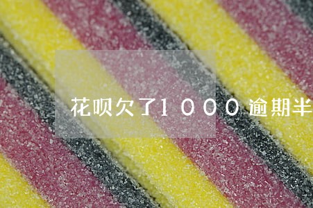花呗欠了1000逾期半年 花呗欠了1000逾期半年