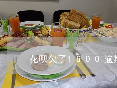 花呗欠了1600逾期了三个月了 花呗欠了1600逾期了三个月了