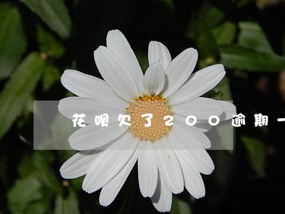 花呗欠了200逾期一个月后果 花呗欠了200逾期一个月后果