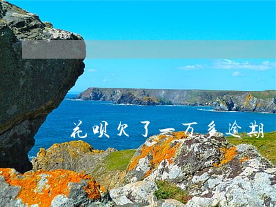 花呗欠了一万多逾期 花呗欠了一万多逾期