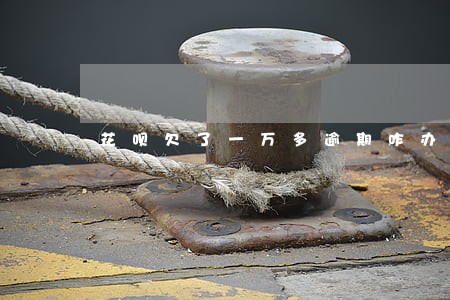 花呗欠了一万多逾期咋办