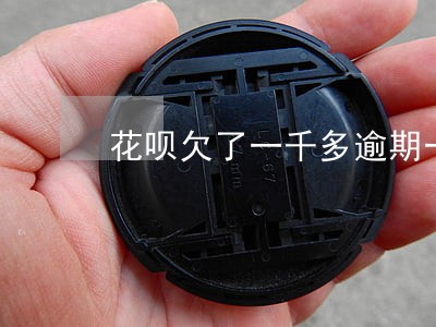 花呗欠了一千多逾期一年了会怎样 花呗欠了一千多逾期一年了会怎样