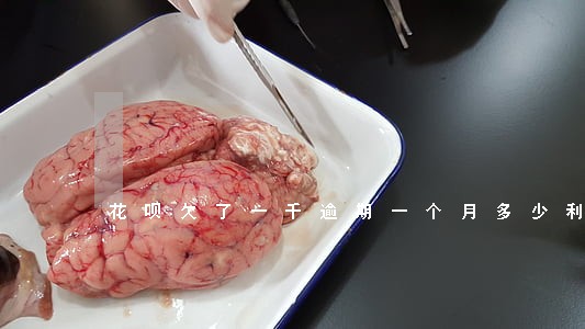花呗欠了一千逾期一个月多少利息 花呗欠了一千逾期一个月多少利息