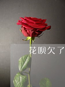 花呗欠了四千逾期一年会怎么样 花呗欠了四千逾期一年会怎么样