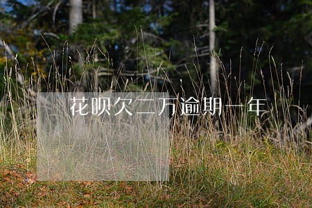 花呗欠二万逾期一年 花呗欠二万逾期一年