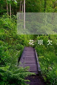 花呗欠二千逾期一年会上门吗 花呗欠二千逾期一年会上门吗