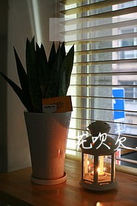 花呗欠五十逾期利息有多高 花呗欠五十逾期利息有多高