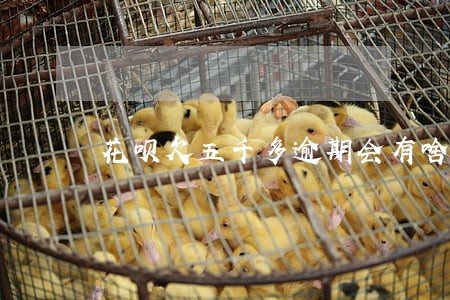 花呗欠五千多逾期会有啥后果 花呗欠五千多逾期会有啥后果