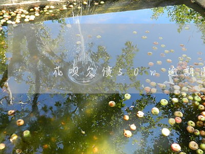 花呗欠债50w逾期图片 花呗欠债50w逾期图片