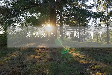 花呗欠六千逾期一年了 花呗欠六千逾期一年了