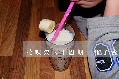 花呗欠六千逾期一年了会上门么 花呗欠六千逾期一年了会上门么