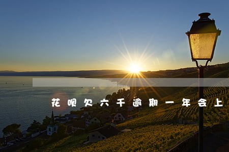 花呗欠六千逾期一年会上门吗 花呗欠六千逾期一年会上门吗