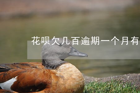 花呗欠几百逾期一个月有事么 花呗欠几百逾期一个月有事么