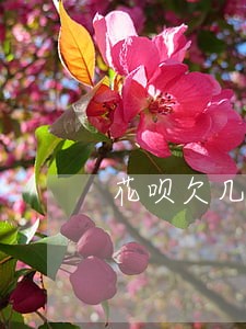 花呗欠几百逾期几天会怎样 花呗欠几百逾期几天会怎样