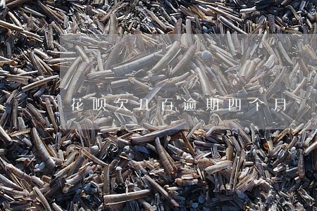花呗欠几百逾期四个月 花呗欠几百逾期四个月