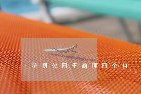 花呗欠四千逾期四个月 花呗欠四千逾期四个月