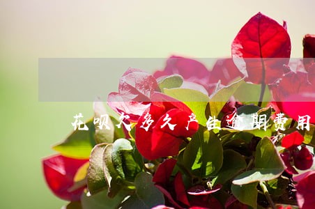 花呗欠多久产生逾期费用 花呗欠多久产生逾期费用