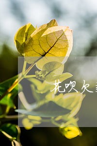 花呗欠款001逾期怎么办 花呗欠款001逾期怎么办