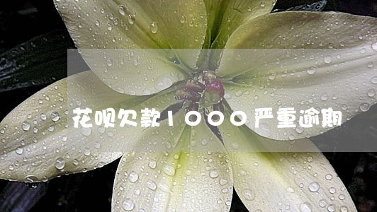 花呗欠款1000严重逾期 花呗欠款1000严重逾期