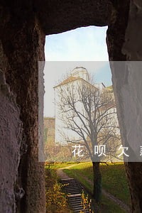 花呗欠款1000多逾期图 花呗欠款1000多逾期图