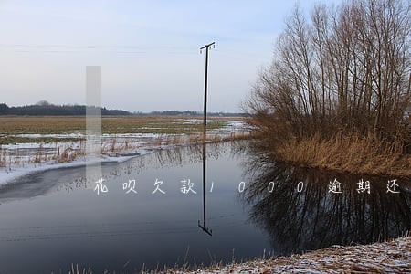 花呗欠款1000逾期还清 花呗欠款1000逾期还清