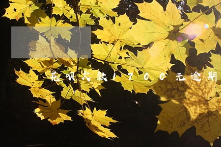 花呗欠款1700元逾期一年 花呗欠款1700元逾期一年