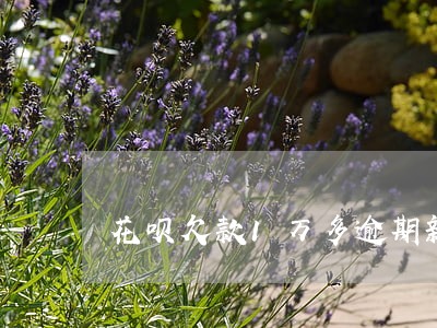 花呗欠款1万多逾期新闻 花呗欠款1万多逾期新闻