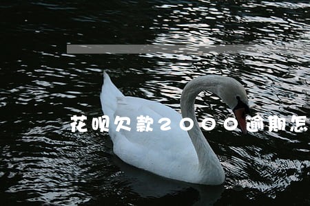 花呗欠款2000逾期怎么办 花呗欠款2000逾期怎么办
