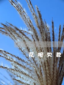 花呗欠款200逾期一个月 花呗欠款200逾期一个月