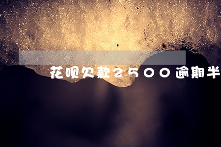 花呗欠款2500逾期半年 花呗欠款2500逾期半年