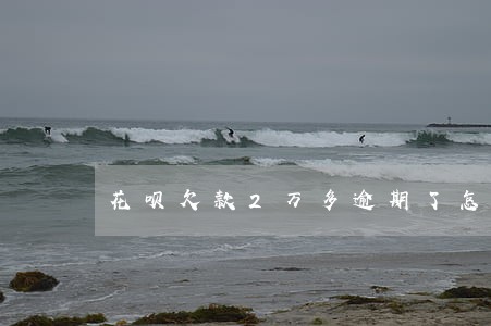 花呗欠款2万多逾期了怎么协商 花呗欠款2万多逾期了怎么协商