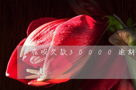 花呗欠款30000逾期 花呗欠款30000逾期