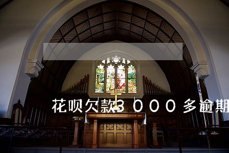 花呗欠款3000多逾期3个月