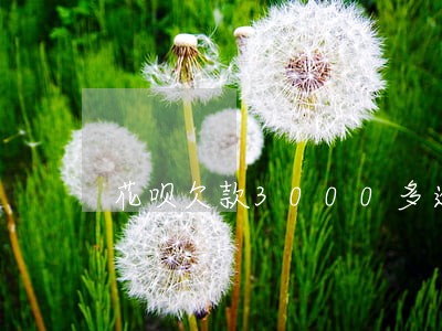 花呗欠款3000多逾期一年 花呗欠款3000多逾期一年
